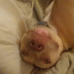 Sean Shurtleff - Facebook