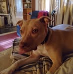 Sean Shurtleff - Facebook