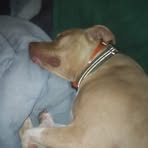 Sean Shurtleff - Facebook