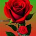 Saju Hssain - Facebook