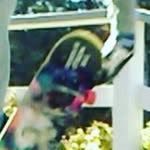 sean daniels - @sean_skates.13 - Instagram
