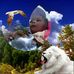 Shaun Skates - Facebook