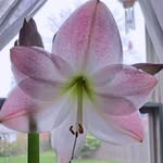 Sandy Skillman - @sandy_skillman - Instagram