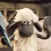Sean Slocum433 - @thatcoolsheep1 - TikTok