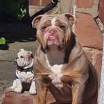 Sean Smart - @sean24823103 - Instagram