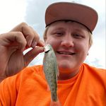 @sean.snook - Instagram