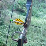 Sean Sorrell - @sean.sorrell.1 - Instagram