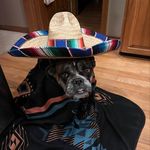 Sean Sorrelly - @seansorrelly - Instagram