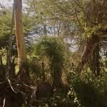 Sean - @seanspeaksfrench - Instagram