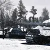 patcat7777 - @seanspeer - TikTok