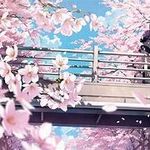 Sean Speer - @mochibit3 - Instagram