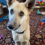 Sean Speer - Facebook