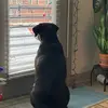 Seanspelledtheirishway - @seanspelledtheirishway - TikTok