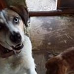 Sean Spires - @sean.818 - Instagram