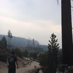 Sean StClair - @stclairsean - Instagram
