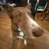 seanstepan - @seanstepan - TikTok