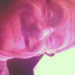 Sean Stiles - @tibetandogowner - Instagram