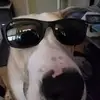 Sean Stiles - @seanstiles2 - TikTok