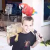 Sean Stiles - @sean.stiles - TikTok