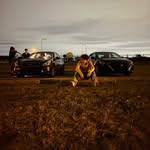 Curse of Bag Chaser - @seanstillsleep - Instagram