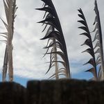 Sean Stitt - @awesome_librarian1 - Instagram