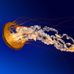 Sean Stonecipher - Facebook