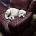 Sean Stonecipher - Facebook