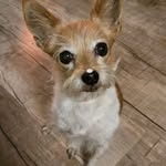 Sandra Straner - @sandrastraner - Instagram