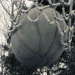 Sean Streich - @sean.streich.735 - Instagram