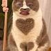 Sumito San - Facebook