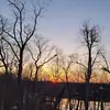 funtimes - @seanswartz - TikTok