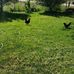 Sean Thatcher - Facebook