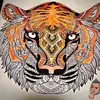 Sean The Tiger Rider - @sean.the.tiger.ri - TikTok
