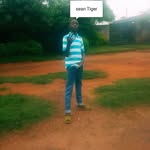 Sean Tiger - @seantiger70 - Instagram