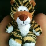Sean Tiger - @seanthetiger - Instagram