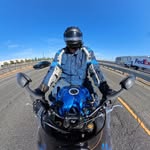 Sean Tiger - @tigerzden - Instagram
