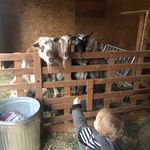 Sean Grimes-Tilley - @seaniestiersofjoy - Instagram