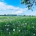 Sean Tilley - Facebook