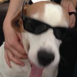 Sean Toner - @sean____909 - Instagram