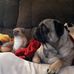 Sean Torbitt - Facebook
