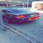 Pukkz - @seantriggs74 - Instagram