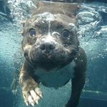sean tripp - @tripp.sean - Instagram