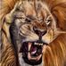 Sean Tripp - Facebook