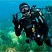 Sean Trott - Facebook