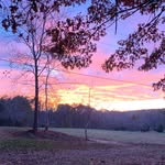 Sean Twitchell - @twitchellsean - Instagram