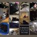 Sean Vacca - Facebook