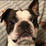 Sean VanDenberg - @vandenberg792 - Instagram
