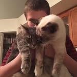 Sean Vargo - @sean.vargo - Instagram