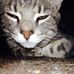 Sean Vargo - Facebook