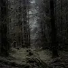 seanvarney766 - @seanvarney766 - TikTok